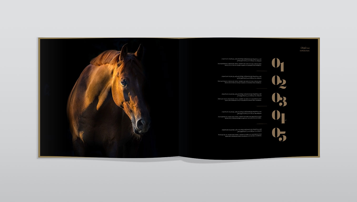 Kings horses book spread one