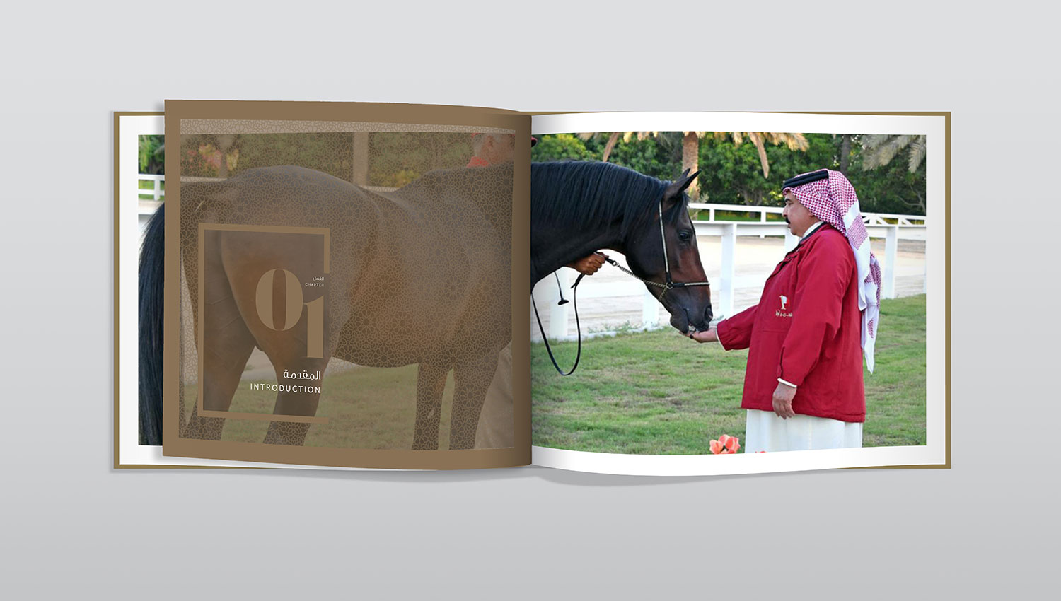 Kings horses book spread three