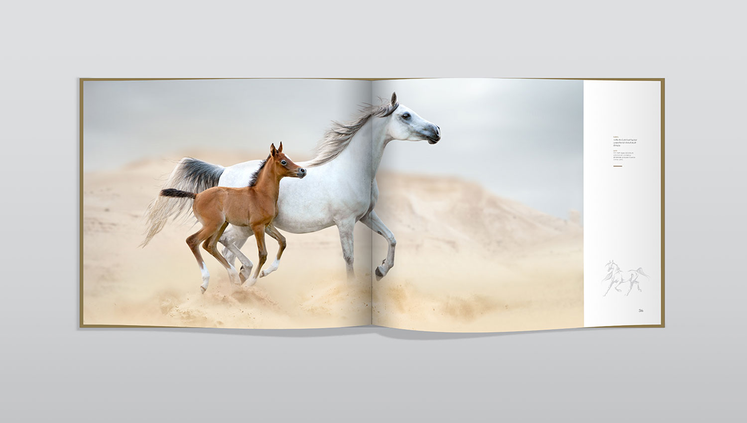 Kings horses book spread nine