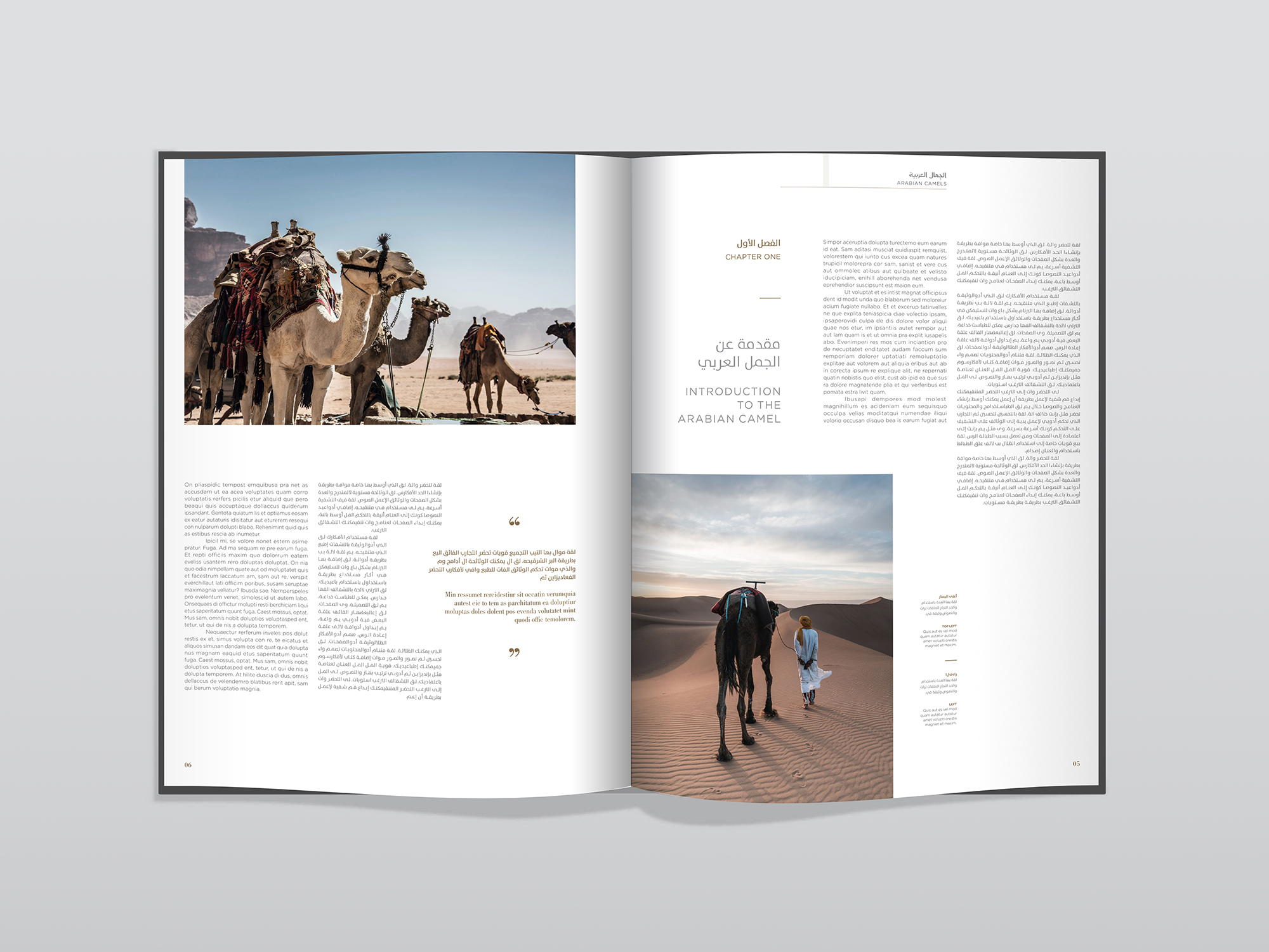 Arabian Camels Book Spread pages